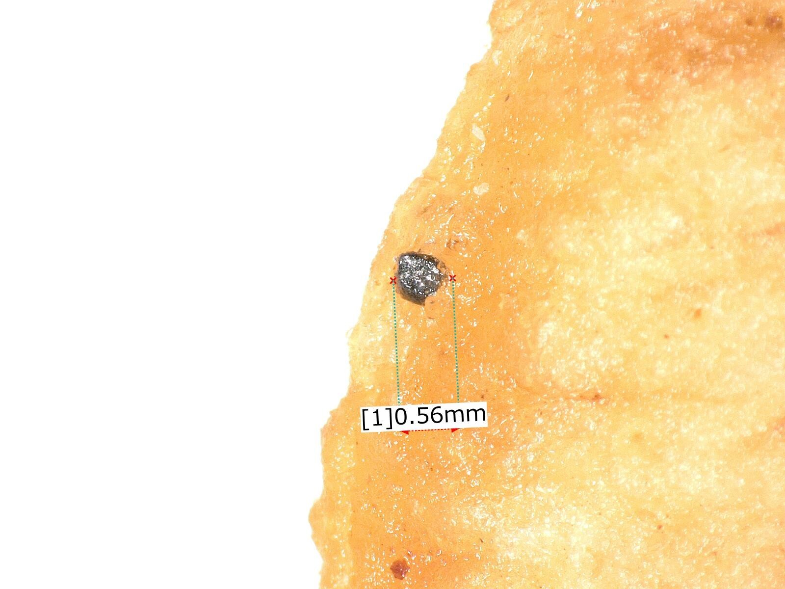 原料に付着した磁性異物