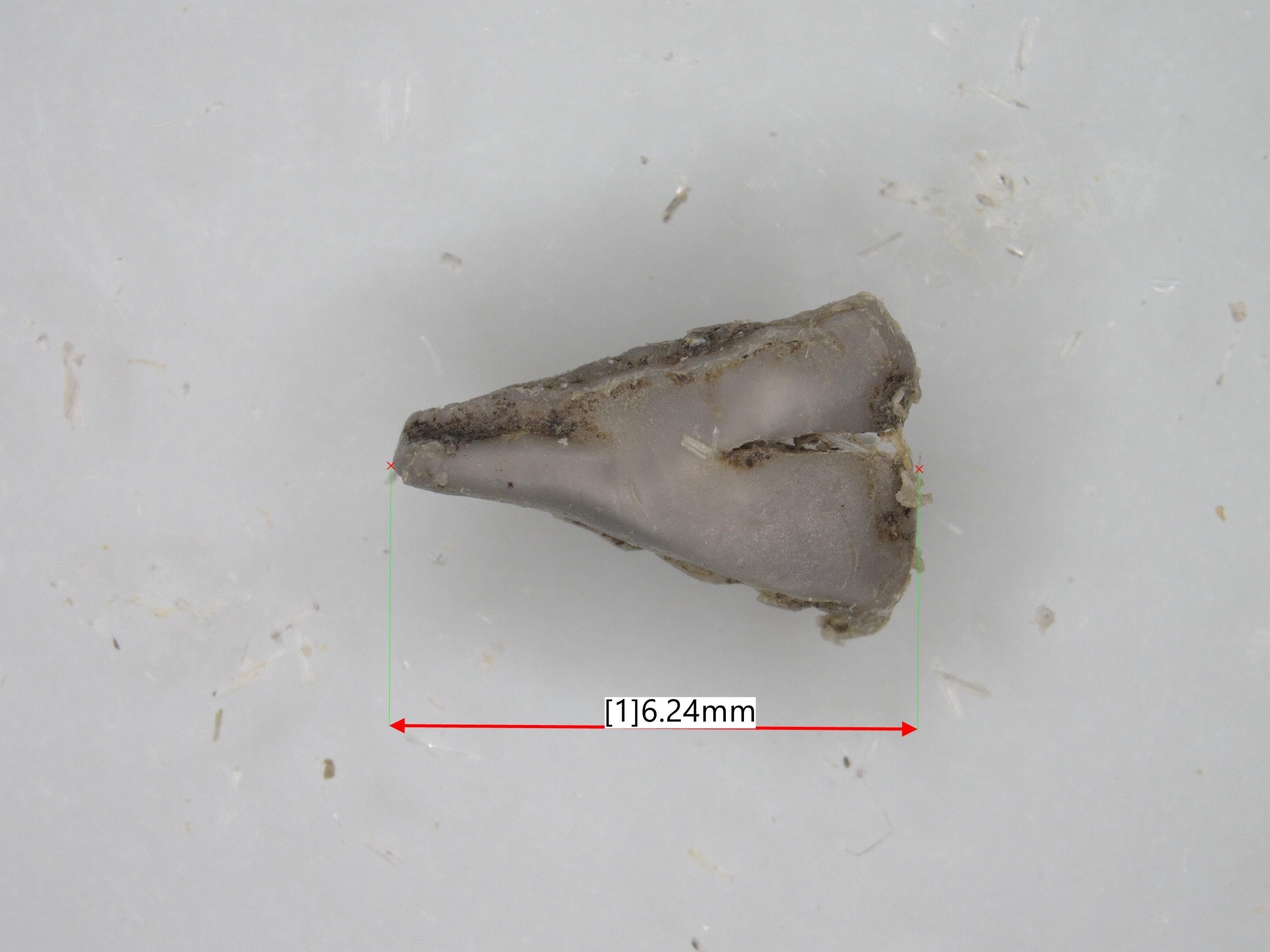 金検やX線では取れない硬質樹脂