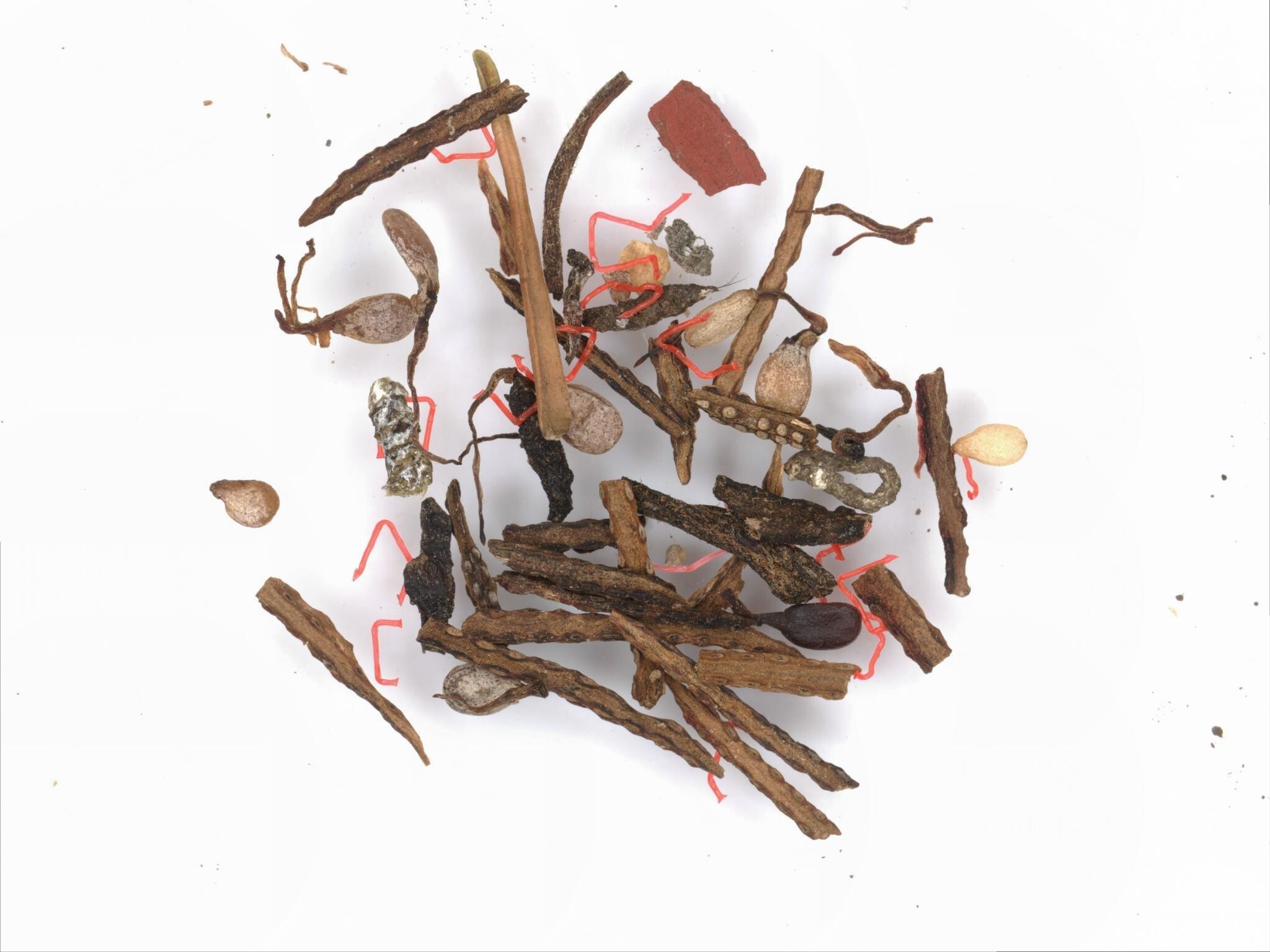 危険ではないが問題になる夾雑物