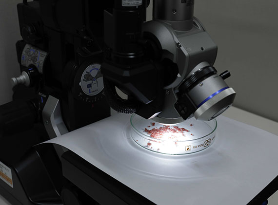 小さい選別屋さんだからこその対応力